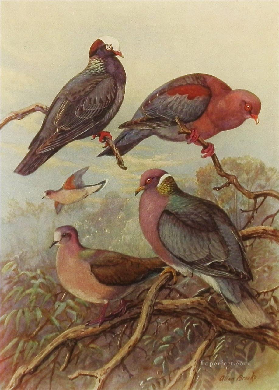 parrots birds Oil Paintings